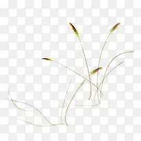 ��β��-������