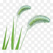 ��β��-������