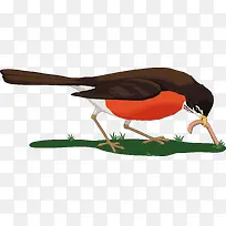 ��ľ��װ���ֻ�-������