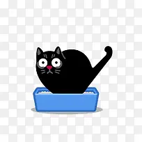 瞪大眼睛的猫-空若网 瞪大眼睛的猫-空若网