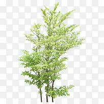 ������Ӱ��������-������