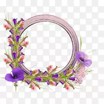 ��򲩿ͼ���������������-�ۺ�ɫ���-������