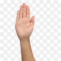 小清新白白的嫩手指PNG-空若网 小清新白白的嫩手指PNG-空若网