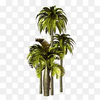 茂盛的大树-空若网 茂盛的大树-空若网