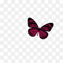 �ڵ���ɫ����-������