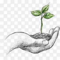 矢量手绘手和小苗-空若网 矢量手绘手和小苗-空若网