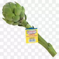 蔬菜植物-洋蓟-空若网 蔬菜植物-洋蓟-空若网