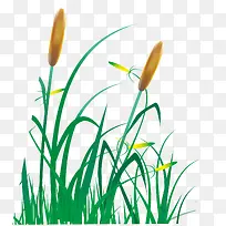 手绘狗尾巴草矢量图-空若网 手绘狗尾巴草矢量图-空若网