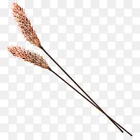 ��ɫ��Լ��β�Ͳ�װ��ͼ��-������