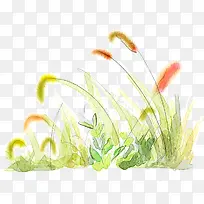 手绘清新狗尾巴草-空若网 手绘清新狗尾巴草-空若网