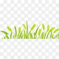 ��β�Ͳݲݴ�-������