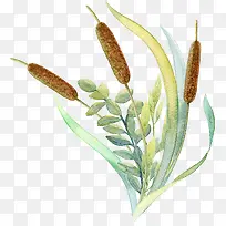 手绘狗尾巴草装饰-空若网 手绘狗尾巴草装饰-空若网