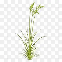 ¹·Î²°Í²Ý-¿ÕÈôÍø ¹·Î²°Í²Ý-¿ÕÈôÍø