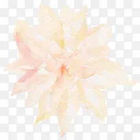 ˮ�ʻ�����ɫ-������