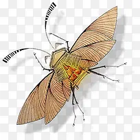 Persianatus图标-空若网 Persianatus图标-空若网