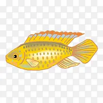 ʸ����ɫ�����ز�-������