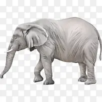 �������-������