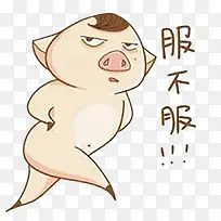 可爱小肥猪-空若网 可爱小肥猪-空若网