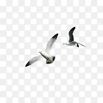 ��Ÿ�ز�-������