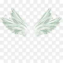 白色的翅膀素材-空若网 白色的翅膀素材-空若网