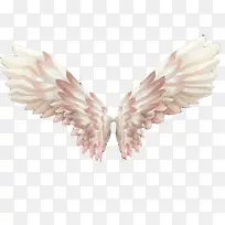 翅膀手绘素材-空若网 翅膀手绘素材-空若网