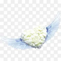 ��ɫ���ĳ��-������