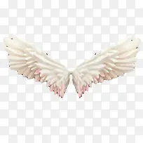 ��ɫ����ز�-������