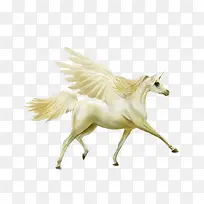 ��ɫ������-������