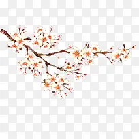 免抠树枝梅花装饰-空若网 免抠树枝梅花装饰-空若网