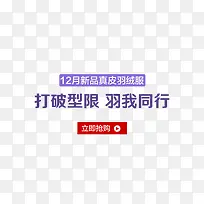 ���Ƽ��������ز�-������