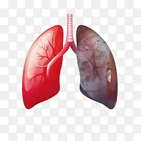 ���ⱻ��Ⱦ�ķ����-������