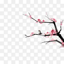 桃花-空若网 桃花-空若网