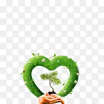 ������ɫ����-������