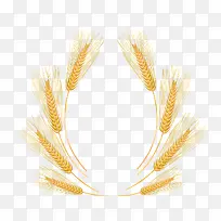 杂粮食物玉米-空若网 杂粮食物玉米-空若网