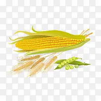 杂粮食物-空若网 杂粮食物-空若网