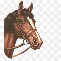 ɫ���ֻ���-������