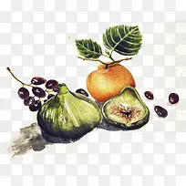 手绘无花果-空若网 手绘无花果-空若网