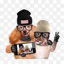 自拍的动物-空若网 自拍的动物-空若网