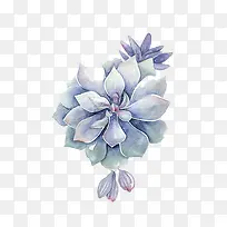 创意水彩手绘多肉-空若网 创意水彩手绘多肉-空若网