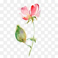 简洁明亮水彩花卉元素-空若网 简洁明亮水彩花卉元素-空若网