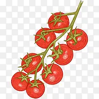 卡通手绘蔬菜装饰海报设计-空若网 卡通手绘蔬菜装饰海报设计-空若网