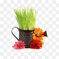 卡通草素材-空若网 卡通草素材-空若网