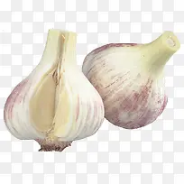 手绘蔬菜素材蔬菜图片 大蒜-空若网 手绘蔬菜素材蔬菜图片 大蒜-空若网