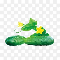 �ƹ�-������