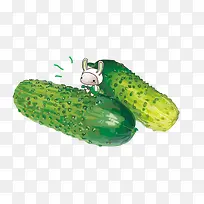 蔬菜黄瓜-空若网 蔬菜黄瓜-空若网