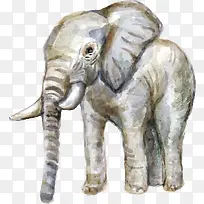 卡通大象装饰图案-空若网 卡通大象装饰图案-空若网