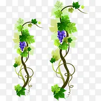 ÆÏÌÑÆÏÌѼÜPNGʸÁ¿ËزÄ-¿ÕÈôÍø ÆÏÌÑÆÏÌѼÜPNGʸÁ¿ËزÄ-¿ÕÈôÍø