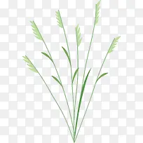 С²Ý°ÓÌìÂéͼ°¸Ð¡²Ý-¿ÕÈôÍø С²Ý°ÓÌìÂéͼ°¸Ð¡²Ý-¿ÕÈôÍø