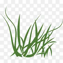 图案小草被风吹的小草-空若网 图案小草被风吹的小草-空若网