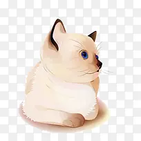 暹罗猫鼻子-空若网 暹罗猫鼻子-空若网